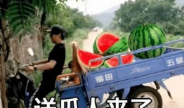 国产吃瓜爆料今日新闻最新,揭秘娱乐圈最新热点事件